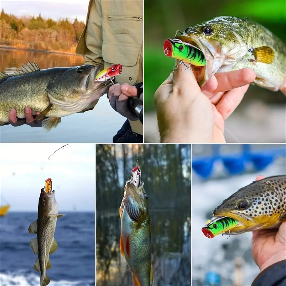 5Pcs Popper Fishing Lures 3d E - Fishing Lure Popper 评论和价格