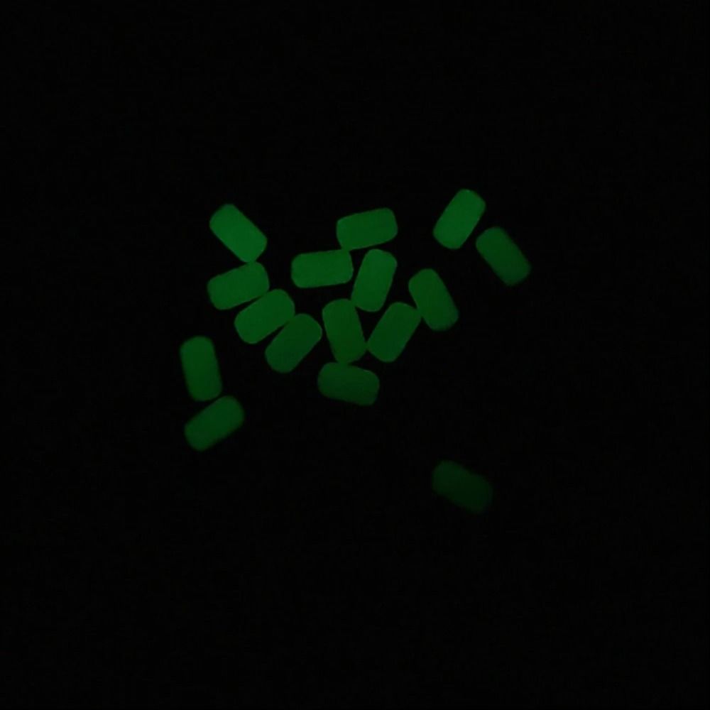 100Pcs/Bag Luminous Fishing So - Fishing Lure Kit 评论和价格